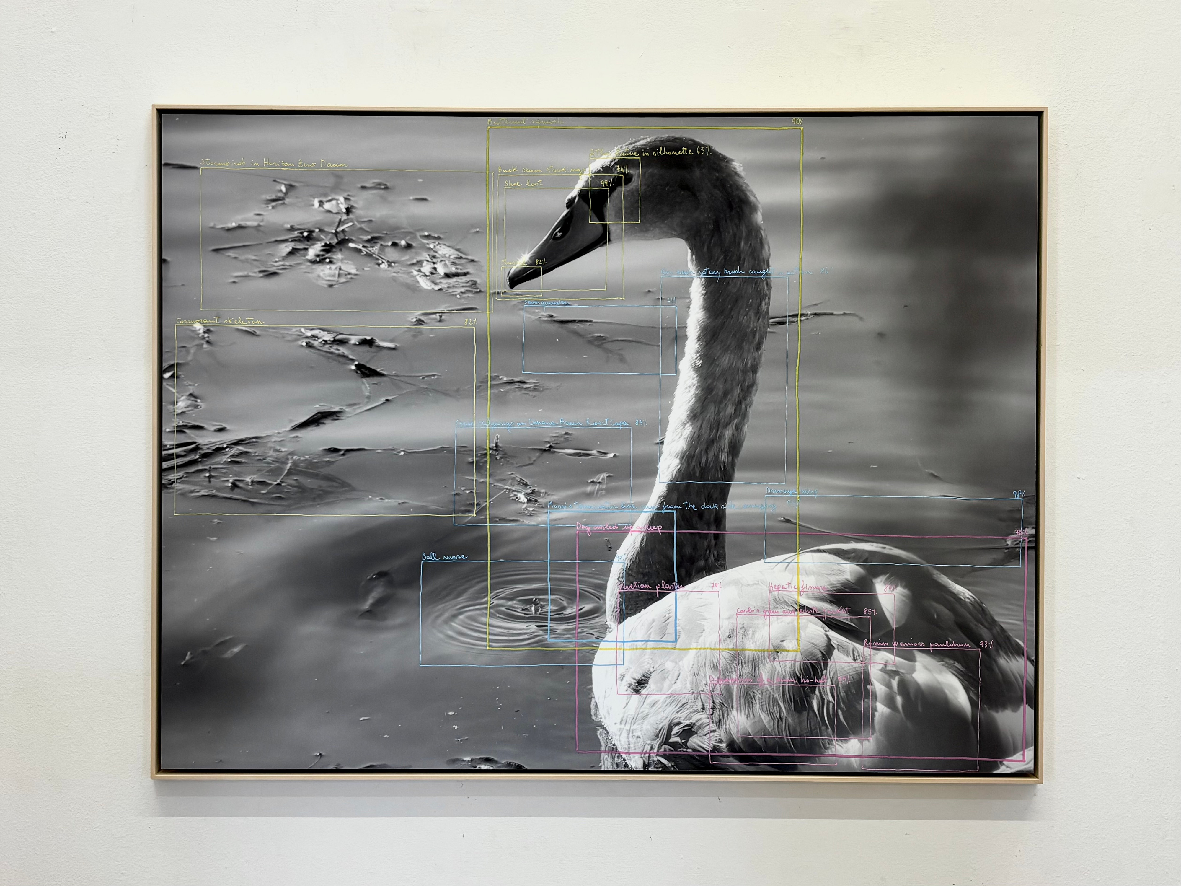 Alessandro  Sambini, ‘Cigno’, 2026