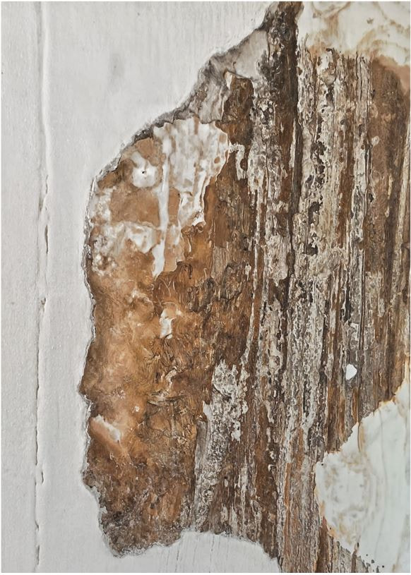 LORENZO  CECILIONI, ‘Ulisse’, 2026
