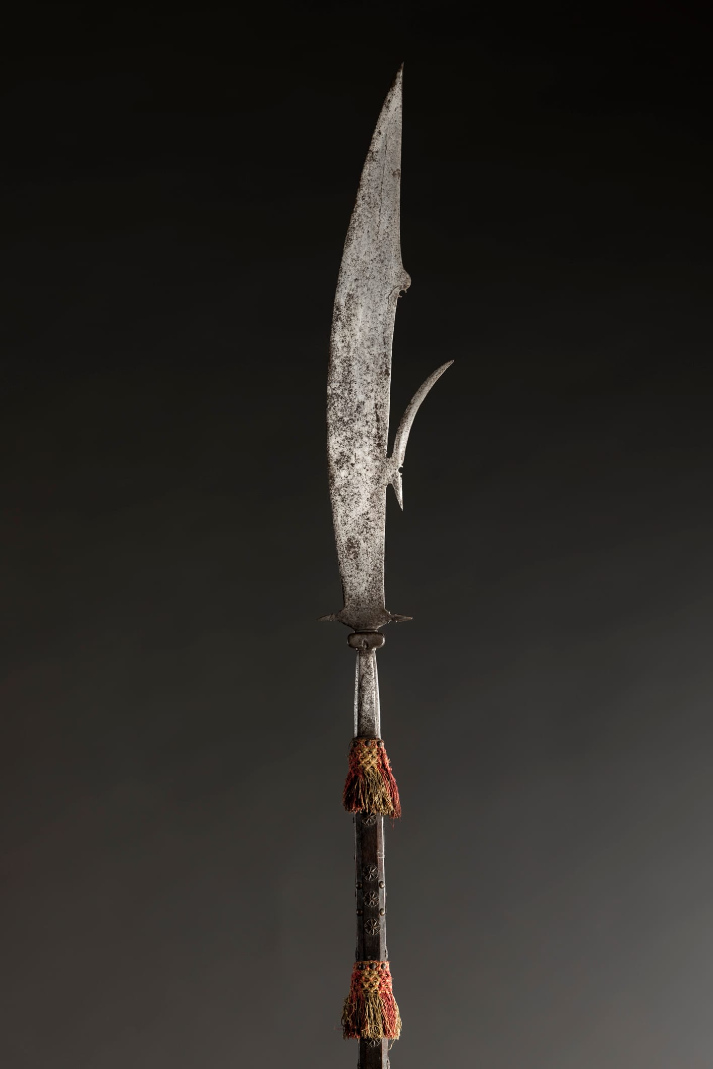 Falcione