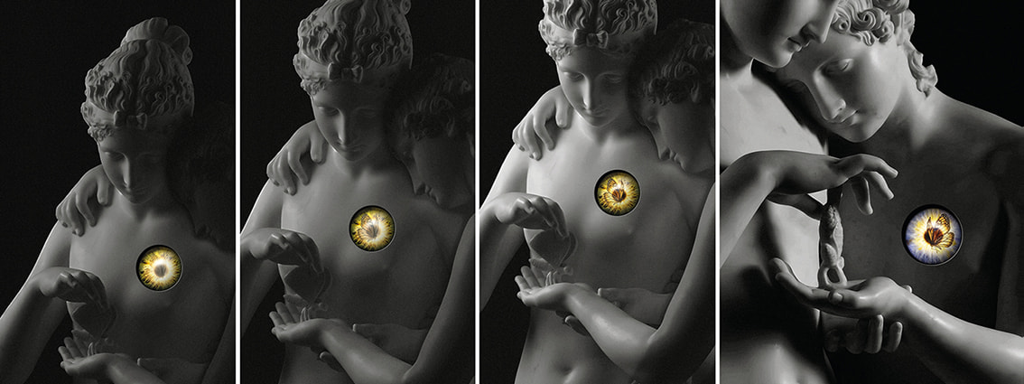 Annalaura di Luggo, ‘Intro-Spectio (Battito d'ali)’, 2026
