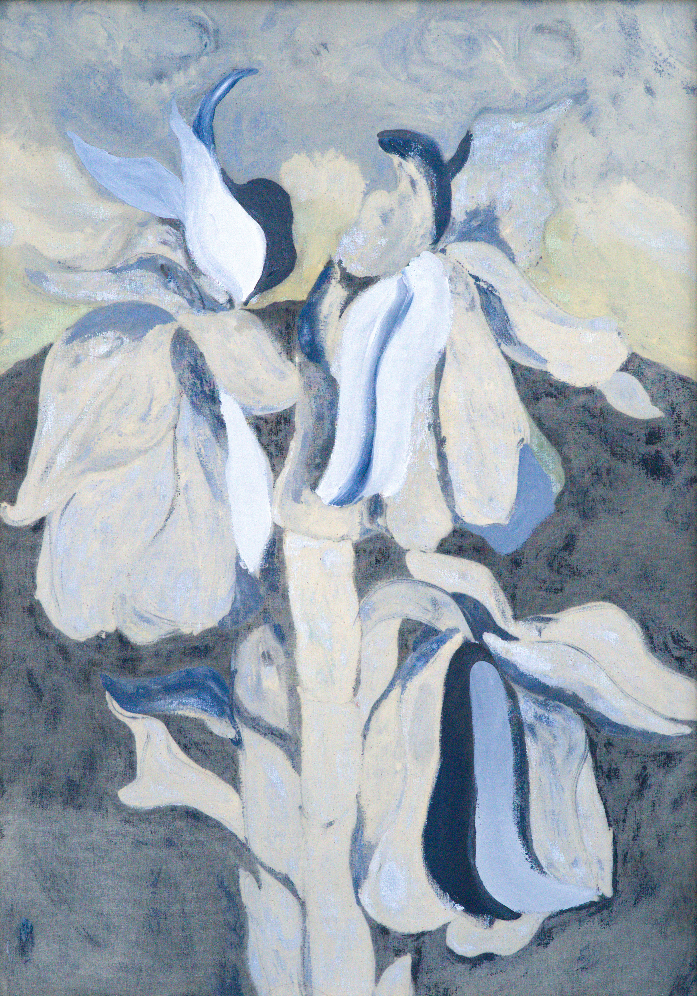 Alessandra  La Marca, ‘Celeste Monotropa’, 2025