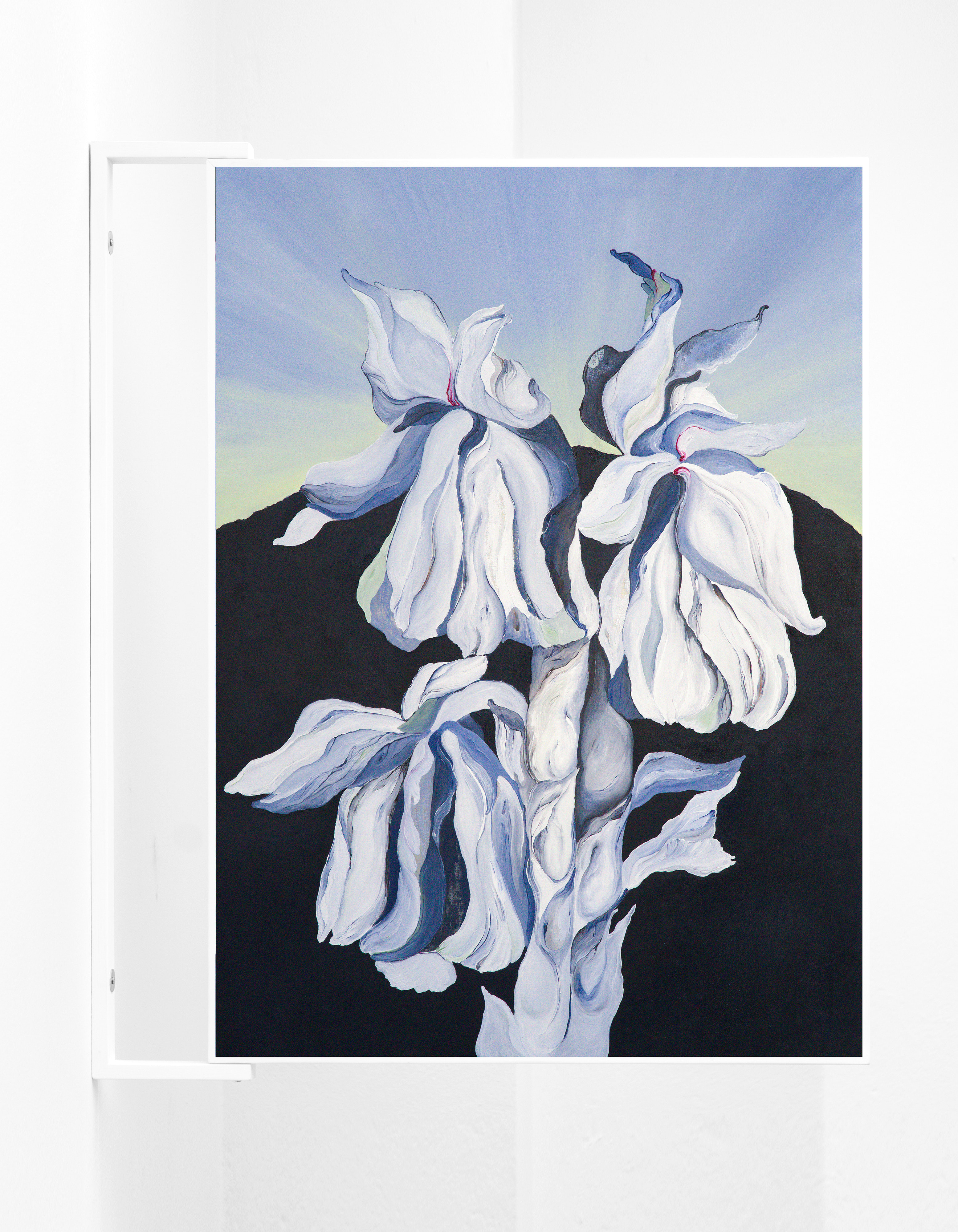 Alessandra  La Marca, ‘Celeste Monotropa’, 2025