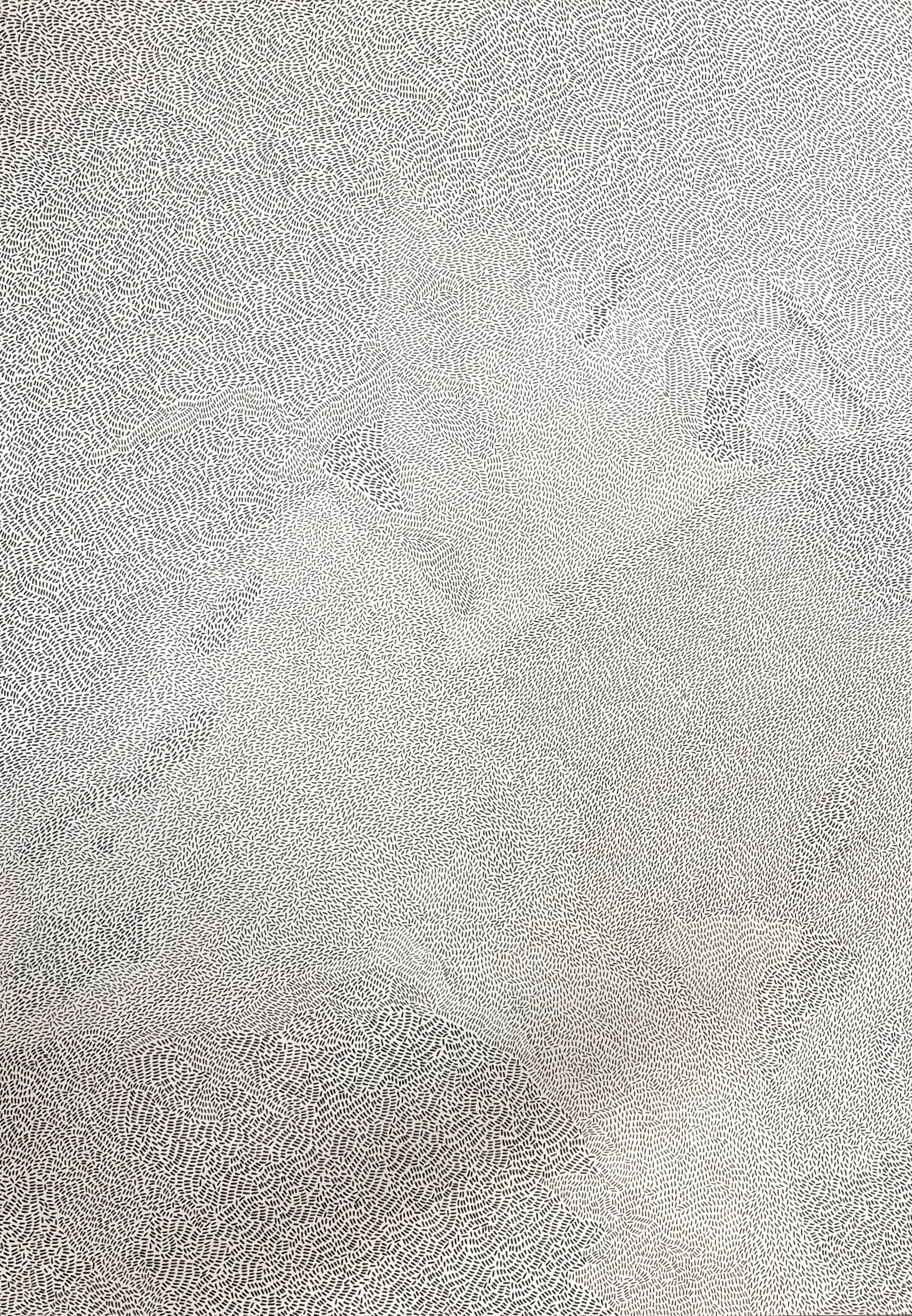Laura Mariuzzo, ‘Planimetrie (serie)’, 2026