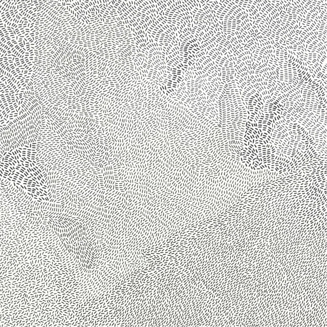 Laura Mariuzzo, ‘Planimetrie (serie)’, 2026